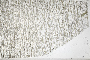 Plane Polarized, S98222