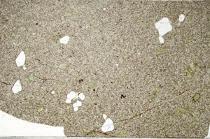 Plane Polarized, S98242