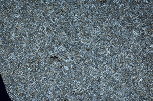 Cross Polarized, S98244