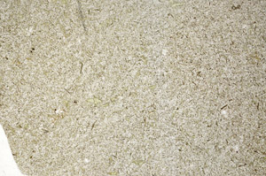 Plane Polarized, S98244