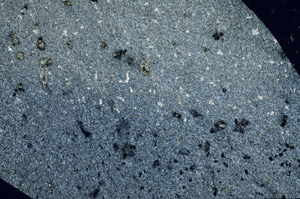 Cross Polarized, S98245