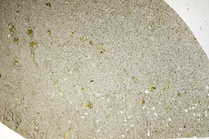 Plane Polarized, S98245