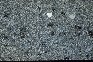 Cross Polarized, S98246