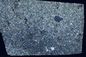 Cross Polarized, S98249