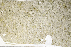 Plane Polarized, S98251