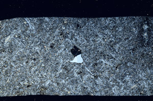 Cross Polarized, S98252