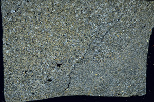 Cross Polarized, S98253