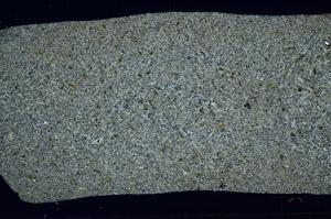 Cross Polarized, S98261