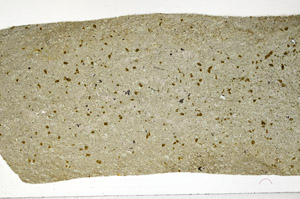 Plane Polarized, S98261