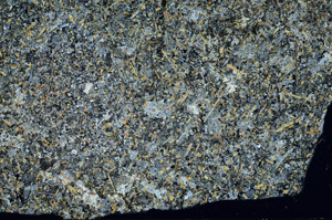 Cross Polarized, S98264