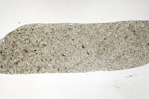 Plane Polarized, S98265