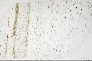 Plane Polarized, S98311/b