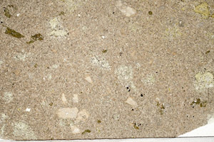 Plane Polarized, S98347