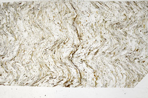 Plane Polarized, S98414