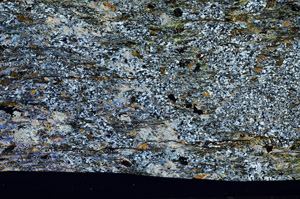 Cross Polarized, S98438