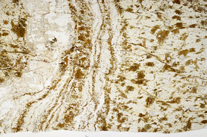 Plane Polarized, S98440