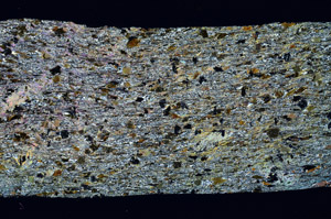 Cross Polarized, S98441