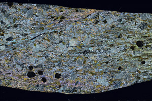Cross Polarized, S98443