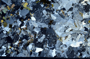 Cross Polarized, S98451