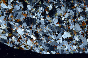 Cross Polarized, S98486