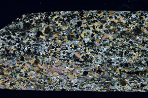 Cross Polarized, S98544