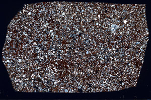 Cross Polarized, S98558