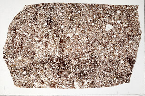 Plane Polarized, S98558