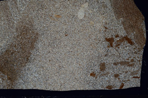 Cross Polarized, S98559