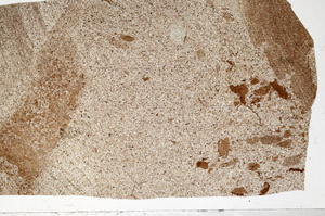 Plane Polarized, S98559