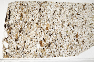 Plane Polarized, S98562