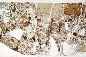 Plane Polarized, S98563