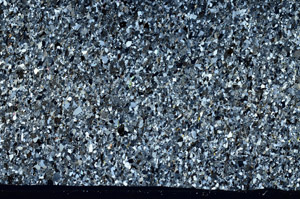 Cross Polarized, S98564