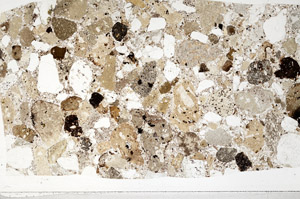 Plane Polarized, S98565