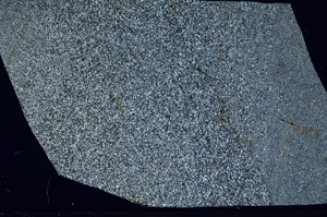 Cross Polarized, S98569