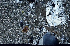 Cross Polarized, S98570