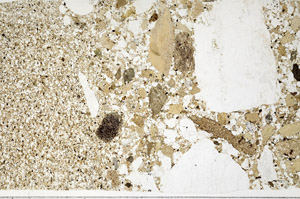 Plane Polarized, S98570