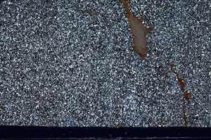 Cross Polarized, S98571