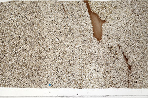 Plane Polarized, S98571