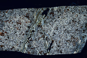 Cross Polarized, S98572