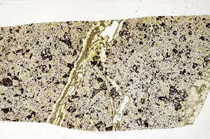 Plane Polarized, S98572