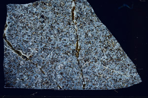 Cross Polarized, S98573