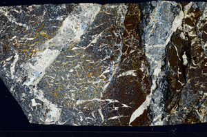 Cross Polarized, S98574