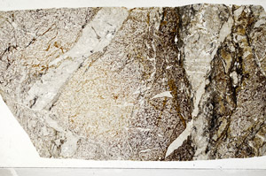 Plane Polarized, S98574