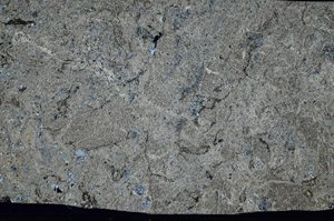 Cross Polarized, S98587