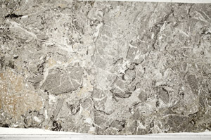 Plane Polarized, S98587