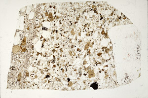 Plane Polarized, S98611