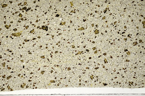 Plane Polarized, S98628