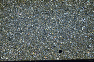 Cross Polarized, S98630