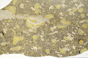 Plane Polarized, S98653