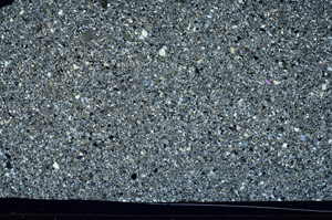 Cross Polarized, S98720